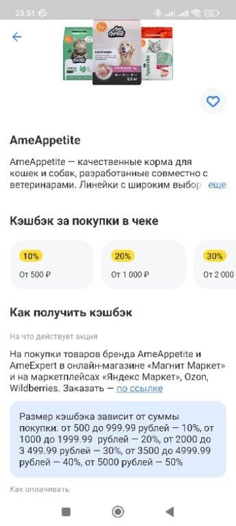 100 бонусов у продавца AMESTORE (+возврат от Т-Банка)