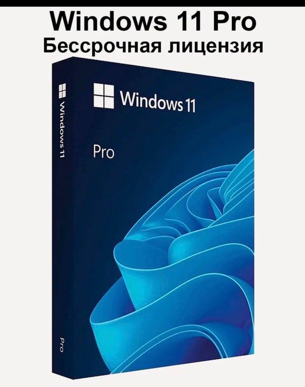 Microsoft Windows 11 Pro (Professional)
